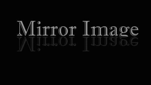 Mirror Image Logo